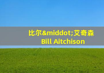 比尔·艾奇森 Bill Aitchison